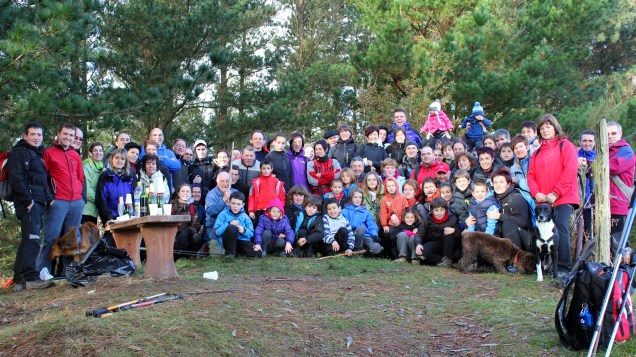 kalamendi11060 copia