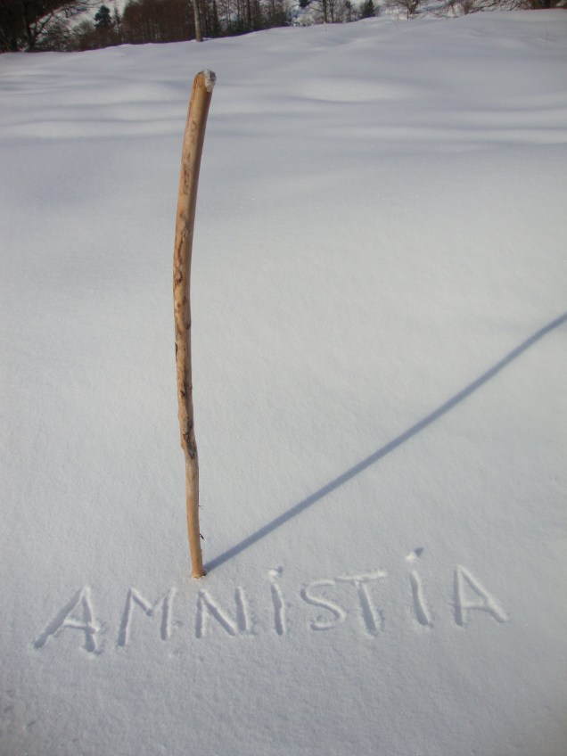 amnistia