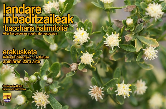 landare inbaditzaileak