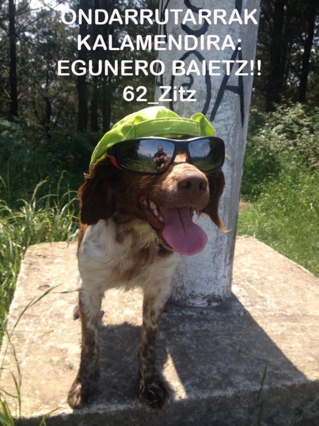 14411566731_94690bc005_o