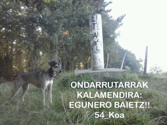 10616339_567364003391341_1313769910446670114_n