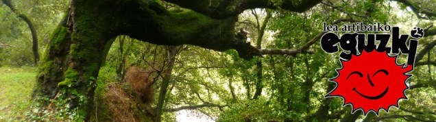 cropped-eguzki-logo.jpg image