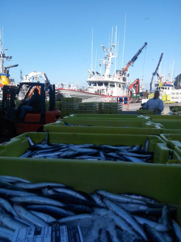 ANTXOI PORTUN BARRA BARRA