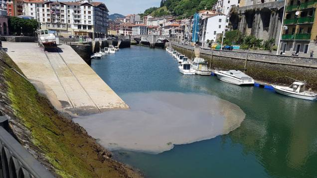 18673209_1872924259640683_4934767191217827733_o