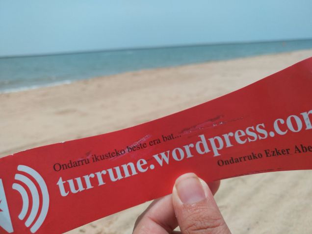 turrune DOÑANAn 2017ko udi.jpg 2