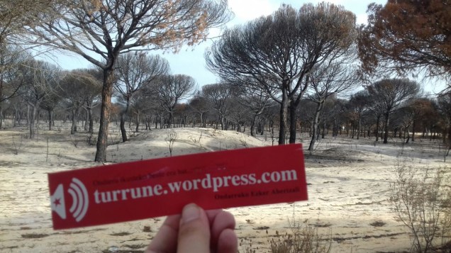 turrune DOÑANAn 2017ko udi