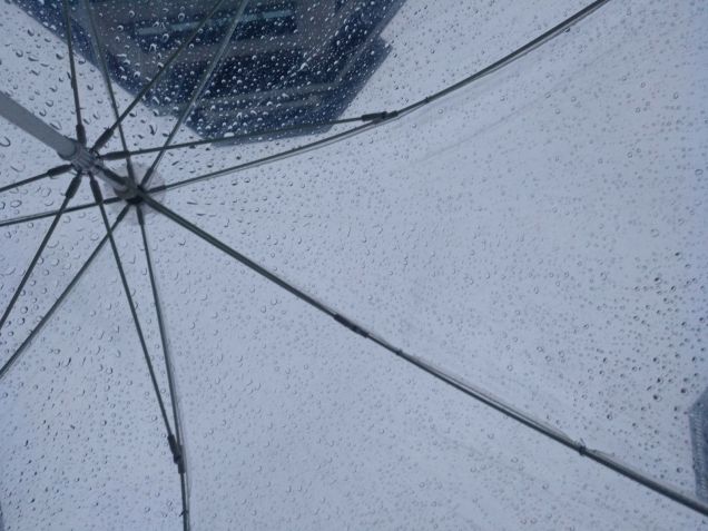 WhatsApp Image 2018-01-13 at 18.45.26 (1)