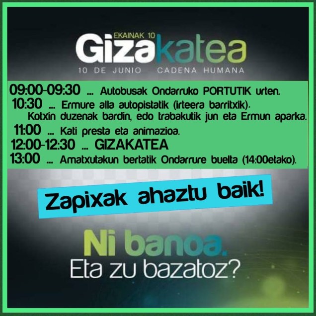 gizakateako oharrak