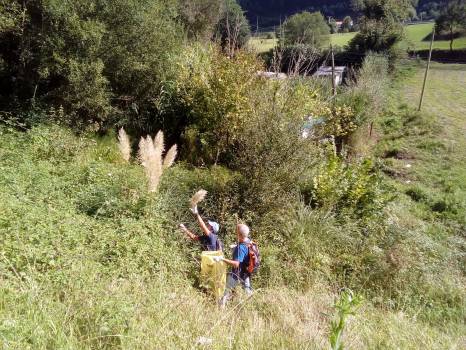 whatsapp-image-2018-09-14-at-18-59-36