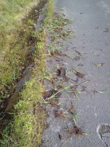 whatsapp-image-2018-09-14-at-18-59-57