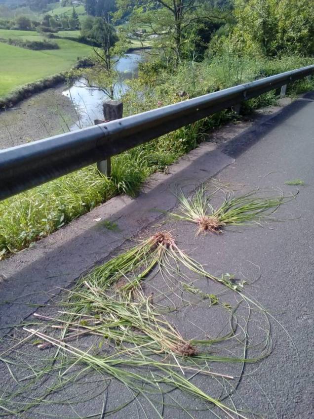 whatsapp-image-2018-09-14-at-19-00-13