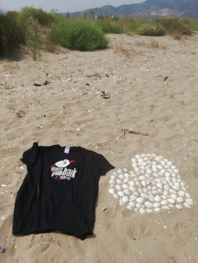 iparra galdu baik hondartzan 2018ko udan