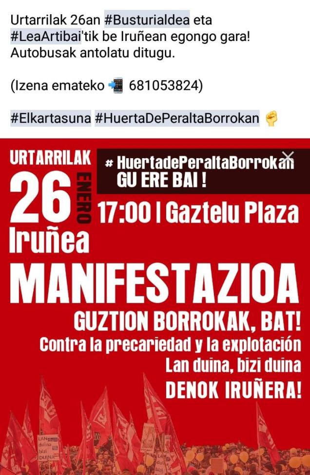 manifi iruñan urtarrllak 26.jpeg1